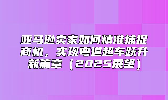 亚马逊卖家如何精准捕捉商机，实现弯道超车跃升新篇章2025展望