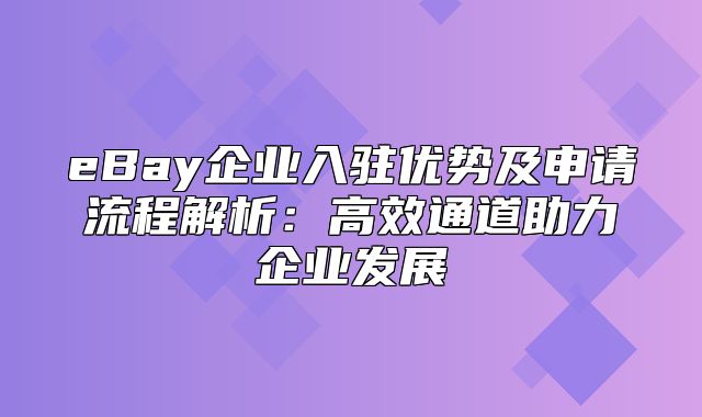 eBay企业入驻优势及申请流程解析：高效通道助力企业发展