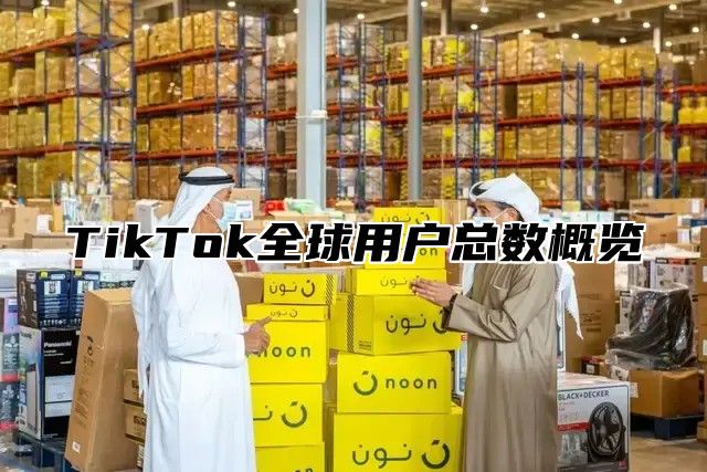 TikTok全球用户总数概览