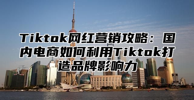 Tiktok网红营销攻略：国内电商如何利用Tiktok打造品牌影响力