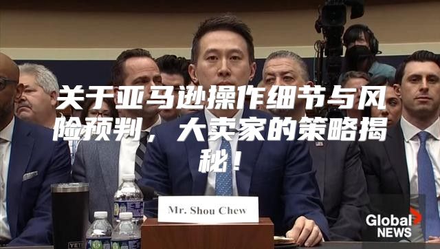 关于亚马逊操作细节与风险预判，大卖家的策略揭秘！