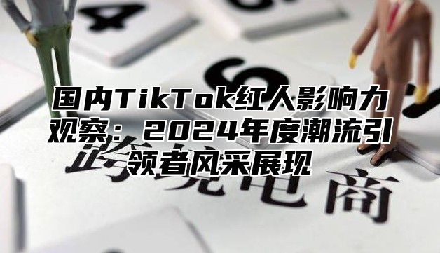 国内TikTok红人影响力观察：2025年度潮流引领者风采展现