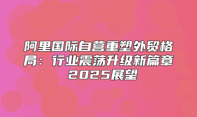 阿里国际自营重塑外贸格局：行业震荡升级新篇章 2025展望