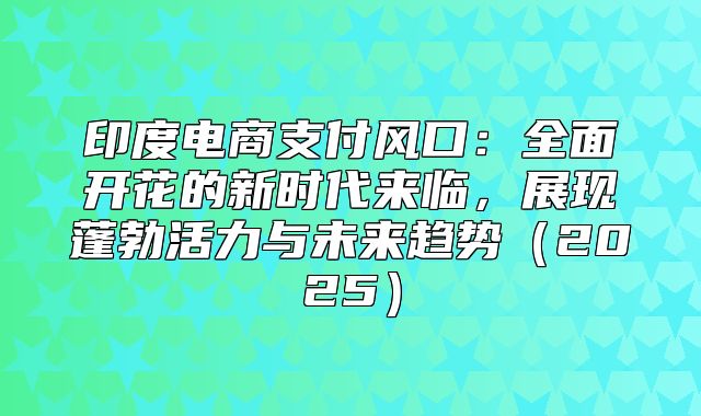 印度电商支付风口：全面开花的新时代来临，展现蓬勃活力与未来趋势2025