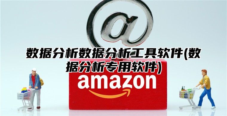 数据分析数据分析工具软件(数据分析专用软件)