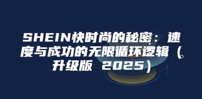 SHEIN快时尚的秘密：速度与成功的无限循环逻辑升级版 2025