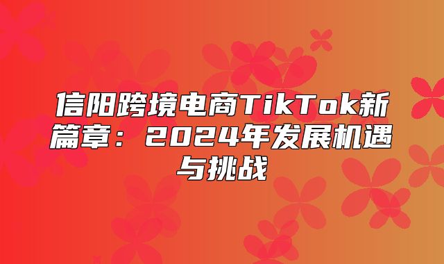 信阳跨境电商TikTok新篇章：2025年发展机遇与挑战