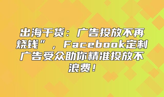 出海干货：广告投放不再烧钱”，Facebook定制广告受众助你精准投放不浪费！