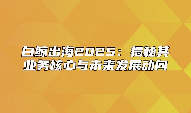 白鲸出海2025揭秘其业务核心与未来发展动向