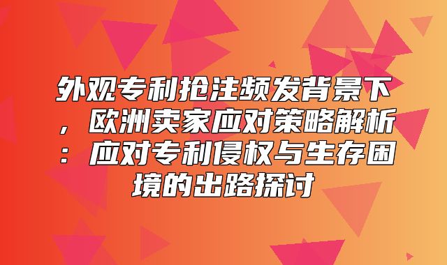 外观专利抢注频发背景下，欧洲卖家应对策略解析：应对专利侵权与生存困境的出路探讨