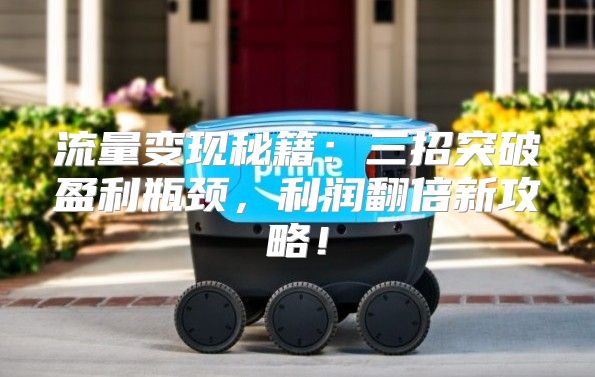 流量变现秘籍：三招突破盈利瓶颈，利润翻倍新攻略！