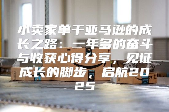 小卖家单干亚马逊的成长之路：一年多的奋斗与收获心得分享，见证成长的脚步，启航2025