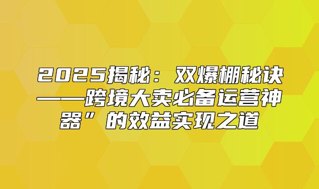 2025揭秘：双爆棚秘诀——跨境大卖必备运营神器”的效益实现之道