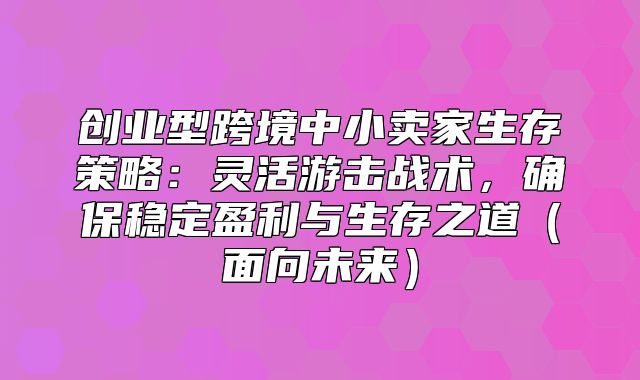 创业型跨境中小卖家生存策略：灵活游击战术，确保稳定盈利与生存之道面向未来