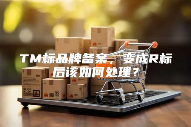 TM标品牌备案，变成R标后该如何处理？