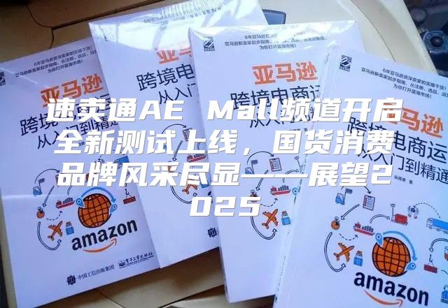 速卖通AE Mall频道开启全新测试上线，国货消费品牌风采尽显——展望2025