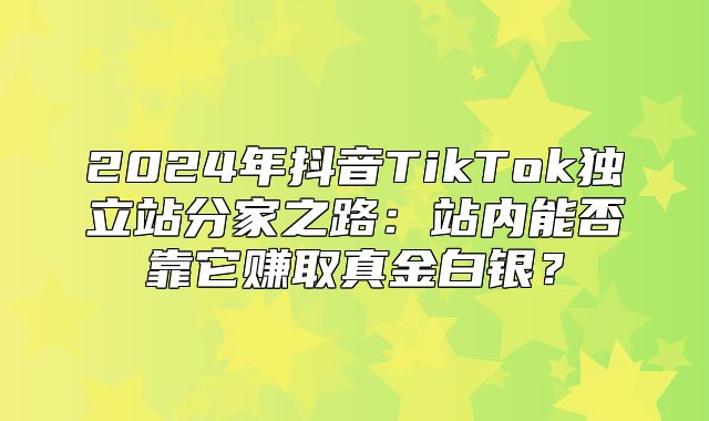 2025年抖音TikTok独立站分家之路：站内能否靠它赚取真金白银？