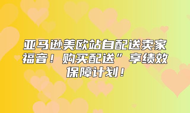 亚马逊美欧站自配送卖家福音！购买配送”享绩效保障计划！
