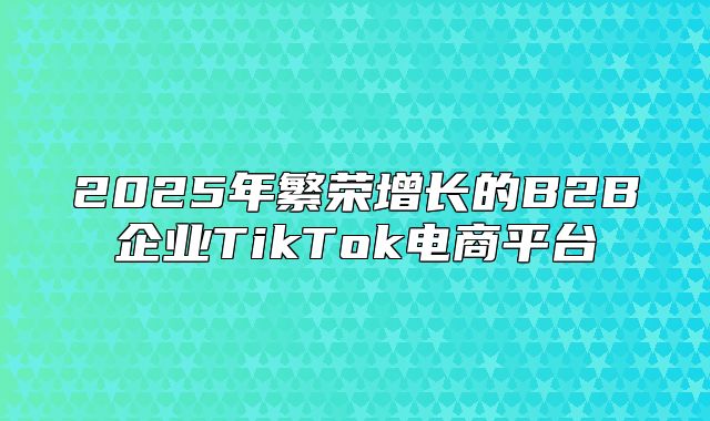 2025年繁荣增长的B2B企业TikTok电商平台