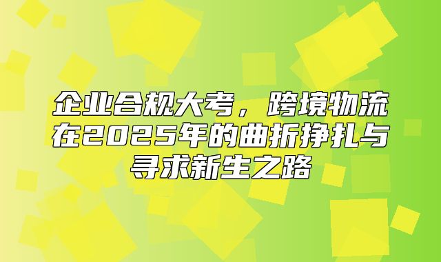 企业合规大考，跨境物流在2025年的曲折挣扎与寻求新生之路