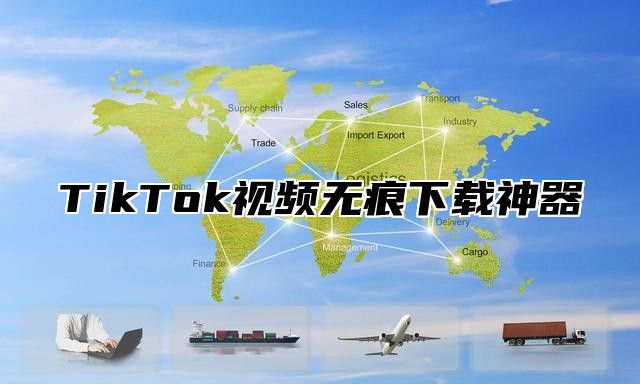 TikTok视频无痕下载神器