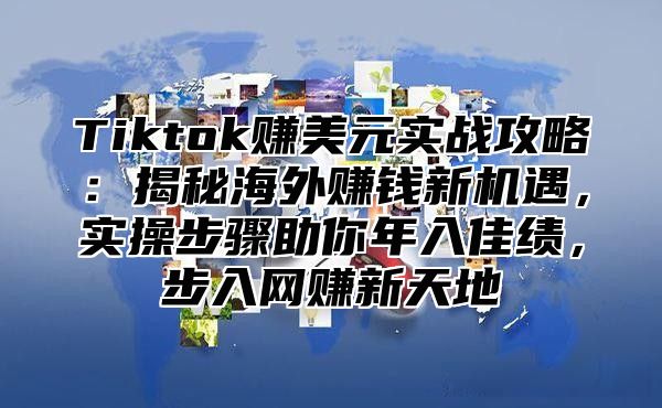 Tiktok赚美元实战攻略：揭秘海外赚钱新机遇，实操步骤助你年入佳绩，步入网赚新天地