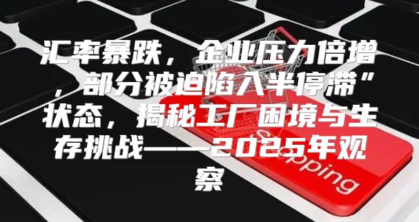 汇率暴跌，企业压力倍增，部分被迫陷入半停滞”状态，揭秘工厂困境与生存挑战——2025年观察