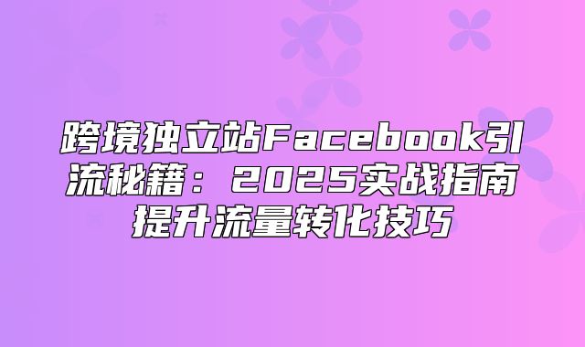 跨境独立站Facebook引流秘籍：2025实战指南提升流量转化技巧