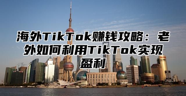 海外TikTok赚钱攻略：老外如何利用TikTok实现盈利