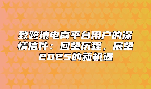 致跨境电商平台用户的深情信件：回望历程，展望2025的新机遇