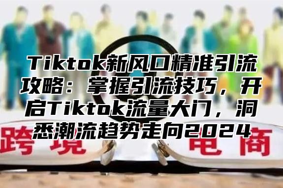 Tiktok新风口精准引流攻略：掌握引流技巧，开启Tiktok流量大门，洞悉潮流趋势走向2025