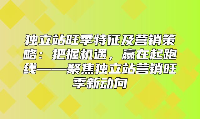 独立站旺季特征及营销策略：把握机遇，赢在起跑线——聚焦独立站营销旺季新动向