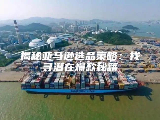 揭秘亚马逊选品策略：找寻潜在爆款秘籍