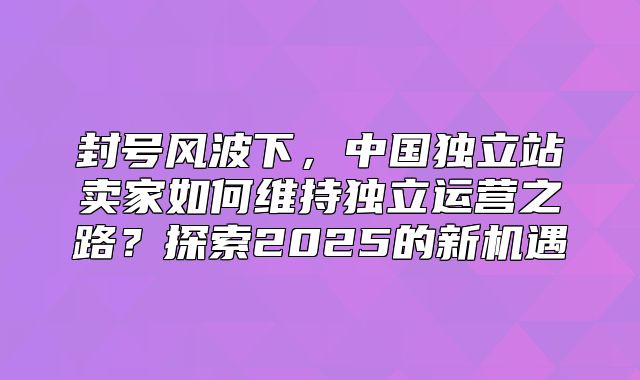 封号风波下，中国独立站卖家如何维持独立运营之路？探索2025的新机遇