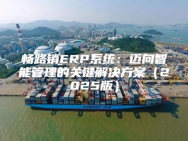 畅路销ERP系统：迈向智能管理的关键解决方案2025版