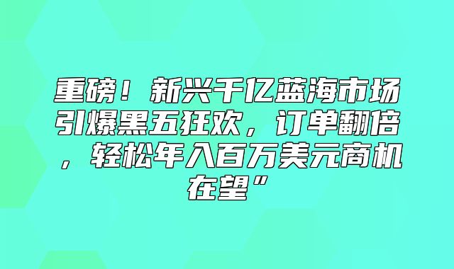 重磅！新兴千亿蓝海市场引爆黑五狂欢，订单翻倍，轻松年入百万美元商机在望”