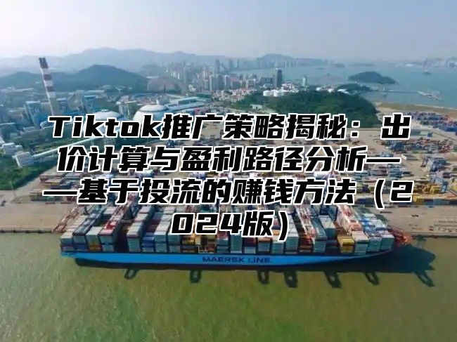 Tiktok推广策略揭秘：出价计算与盈利路径分析——基于投流的赚钱方法2025版