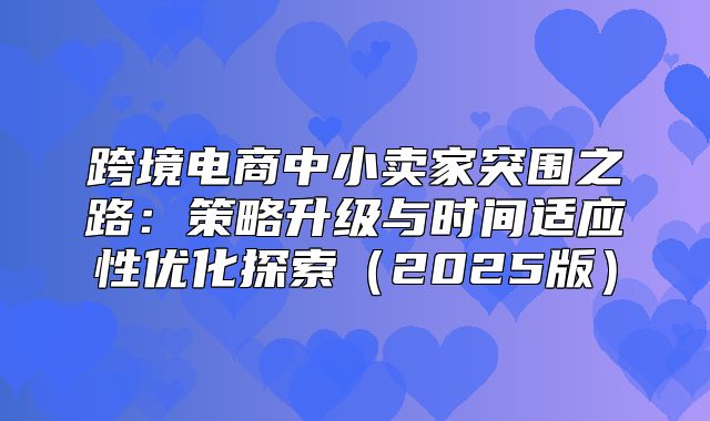 跨境电商中小卖家突围之路：策略升级与时间适应性优化探索2025版
