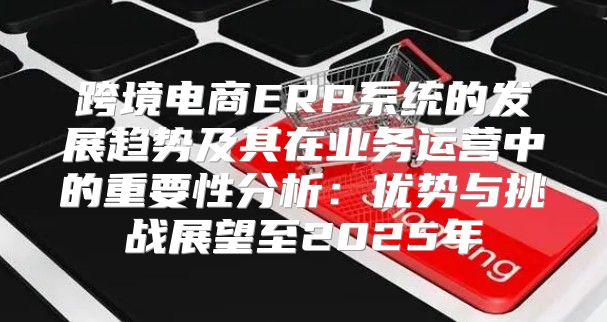 跨境电商ERP系统的发展趋势及其在业务运营中的重要性分析：优势与挑战展望至2025年