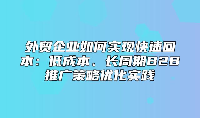 外贸企业如何实现快速回本：低成本、长周期B2B推广策略优化实践