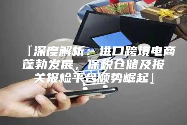 『深度解析：进口跨境电商蓬勃发展，保税仓储及报关报检平台顺势崛起』