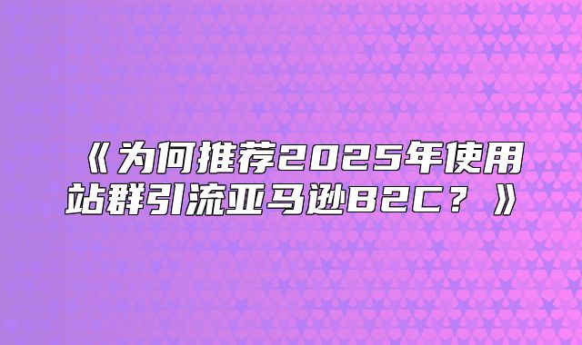 为何推荐2025年使用站群引流亚马逊B2C？