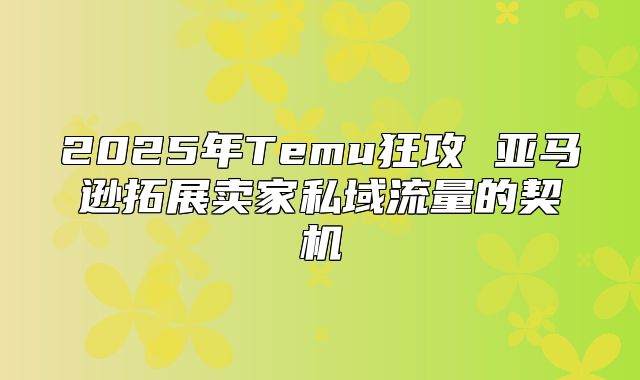 2025年Temu狂攻 亚马逊拓展卖家私域流量的契机