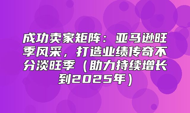 成功卖家矩阵：亚马逊旺季风采，打造业绩传奇不分淡旺季助力持续增长到2025年