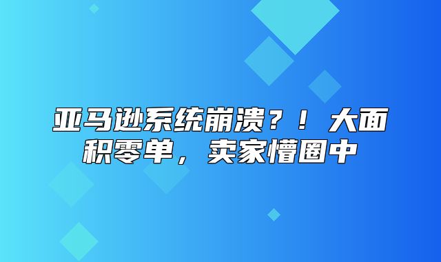 亚马逊系统崩溃？! 大面积零单，卖家懵圈中