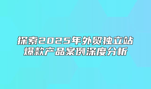 探索2025年外贸独立站爆款产品案例深度分析