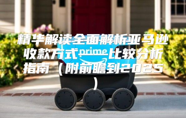 精华解读全面解析亚马逊收款方式——比较分析指南附前瞻到2025
