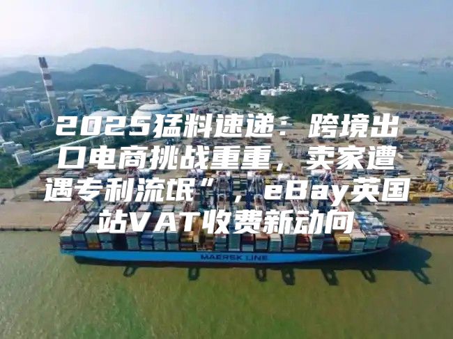 2025猛料速递：跨境出口电商挑战重重，卖家遭遇专利流氓”，eBay英国站VAT收费新动向