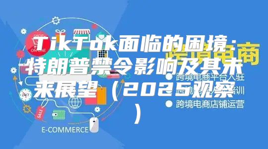 TikTok面临的困境：特朗普禁令影响及其未来展望2025观察