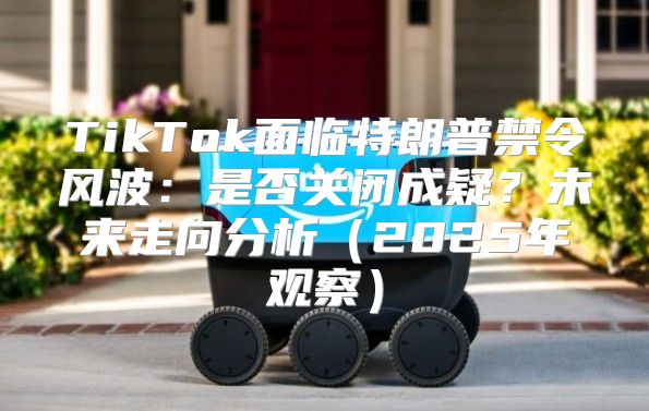 TikTok面临特朗普禁令风波：是否关闭成疑？未来走向分析2025年观察